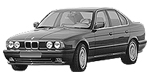 BMW E34 B3190 Fault Code